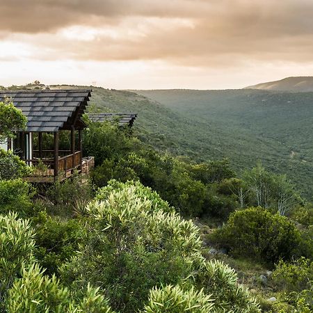 Ikwanitsha Lodge Paterson Exterior foto