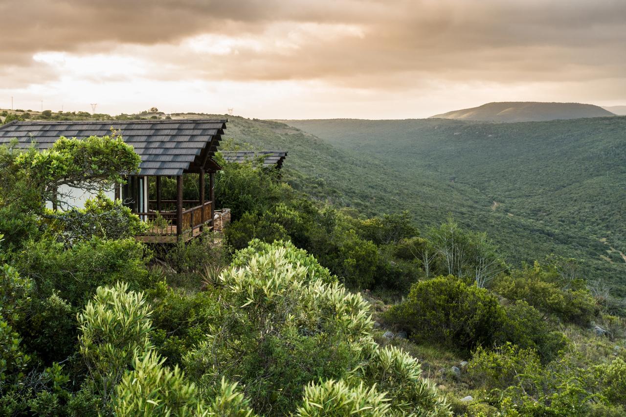 Ikwanitsha Lodge Paterson Exterior foto